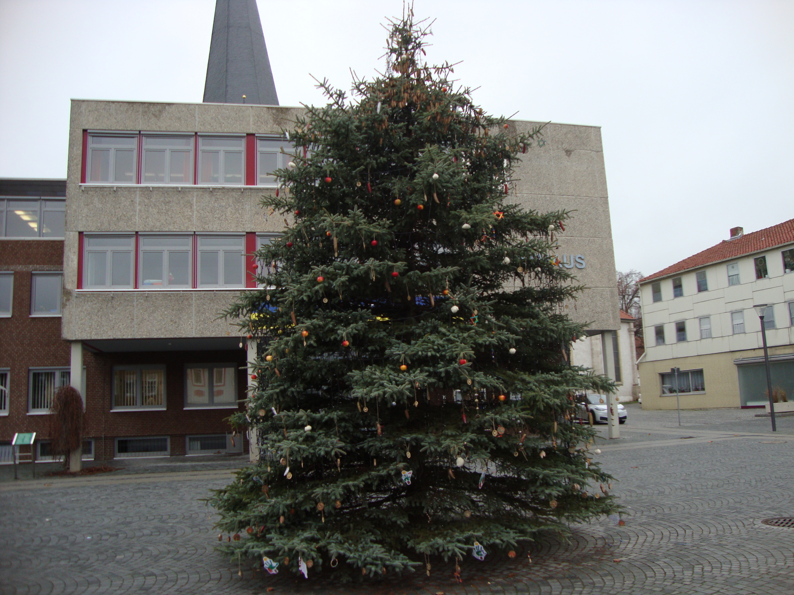 Weihnachtsbaum kommt diesmal aus Winnigstedt